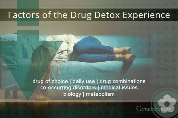 Understanding Drug Detox Greenhouse Treatment Center